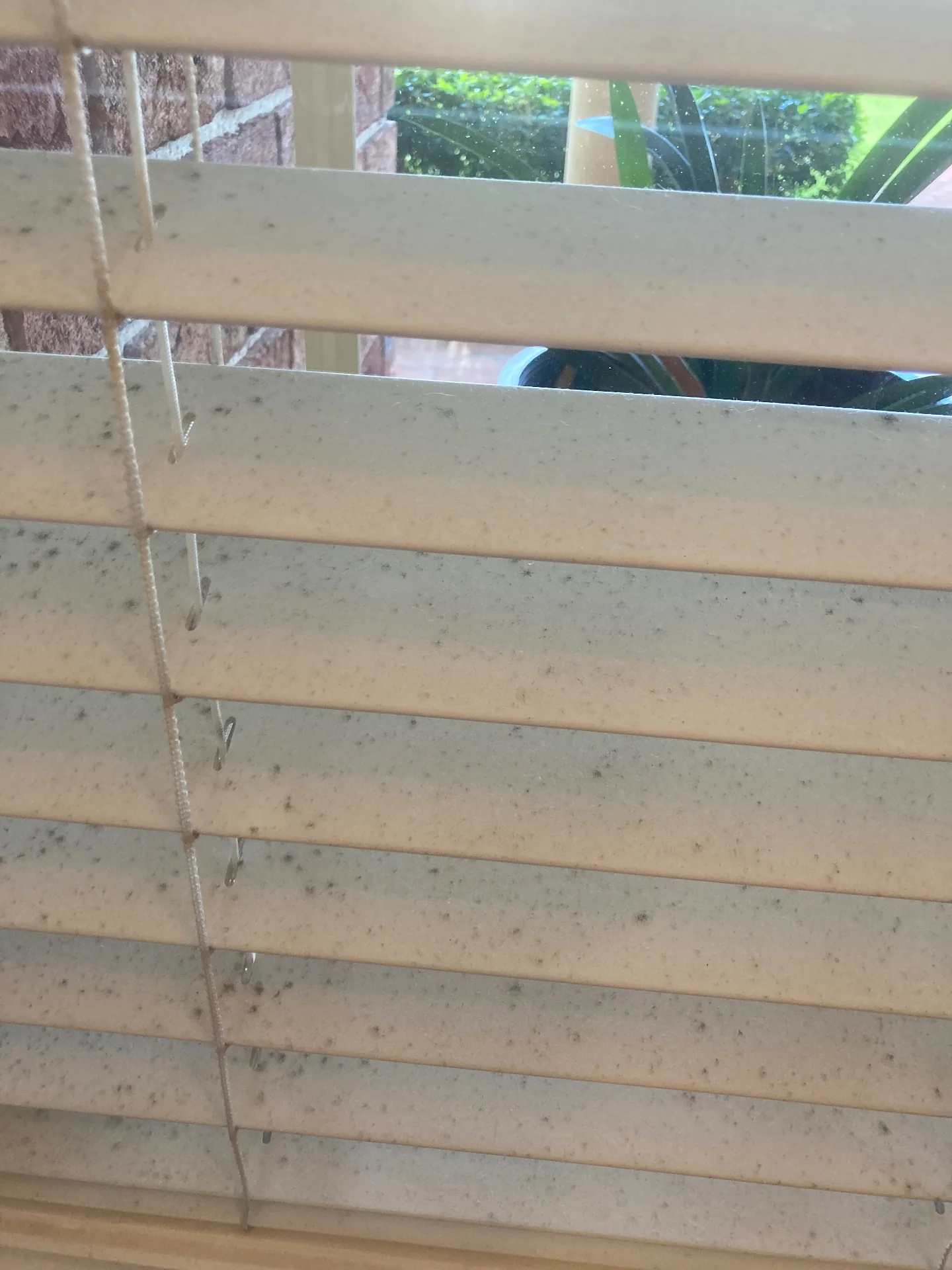 Window blinds before — St George Dusty window blinds coated in grime before a Beheli Group blind cleaning service in St George
