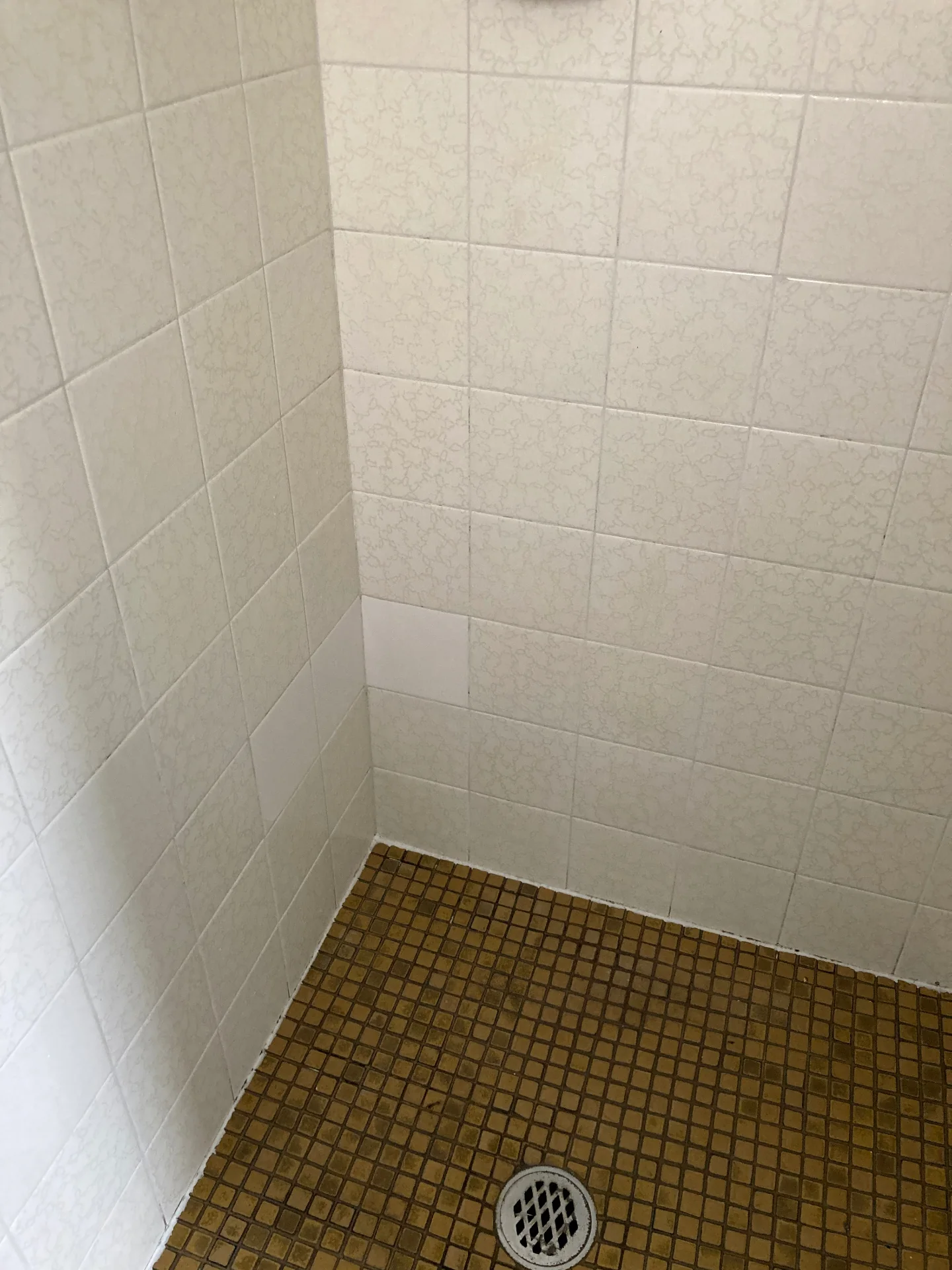 Shower recess deep clean before and after — Sutherland Shire Same shower recess with clear glass and restored grout after professional house cleaning by Beheli Group, Sutherland Shire
