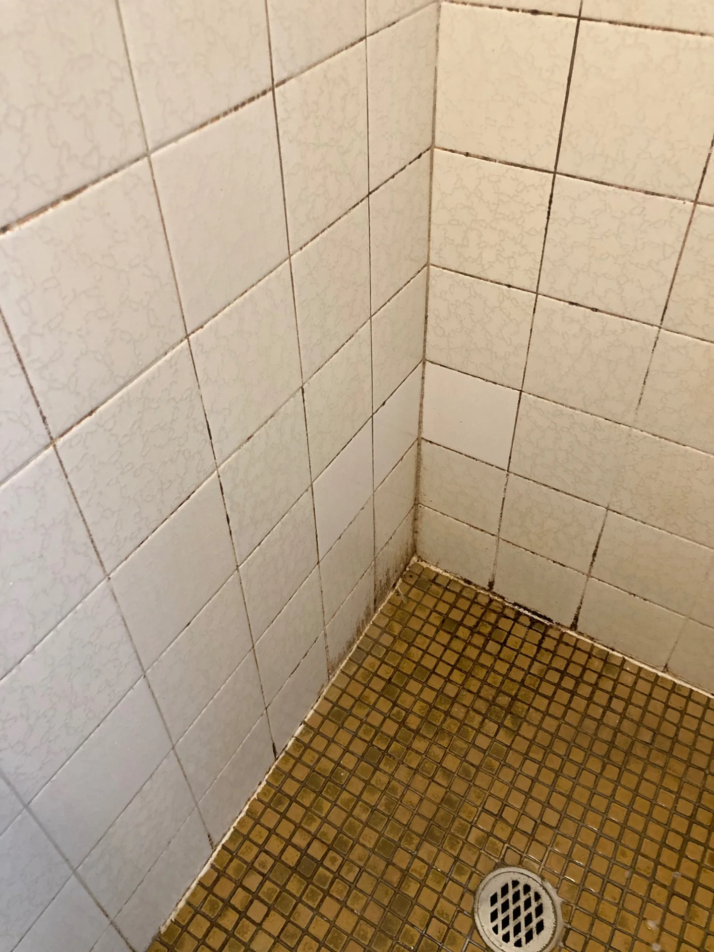 Shower recess deep clean before and after — Sutherland Shire Shower recess with soap scum and grout build-up before a Beheli Group deep clean in the Sutherland Shire